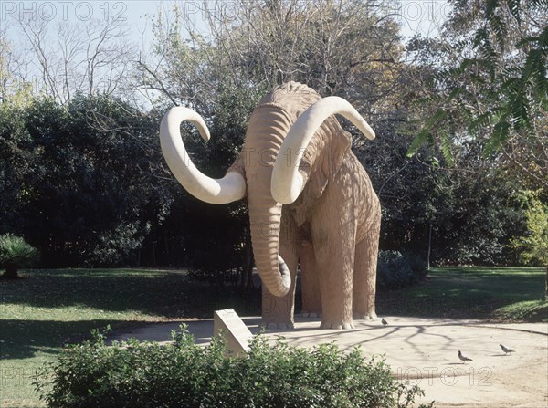 ESCULTURA DE MAMUT
BARCELONA, PARQUE DE LA CIUDADELA
BARCELONA
