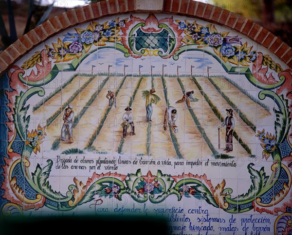 AZULEJERIA - OBREROS PLANTANDO BARRON PARA IMPEDIR EL MOVIMIENTO DE LAS ARENAS POR EL