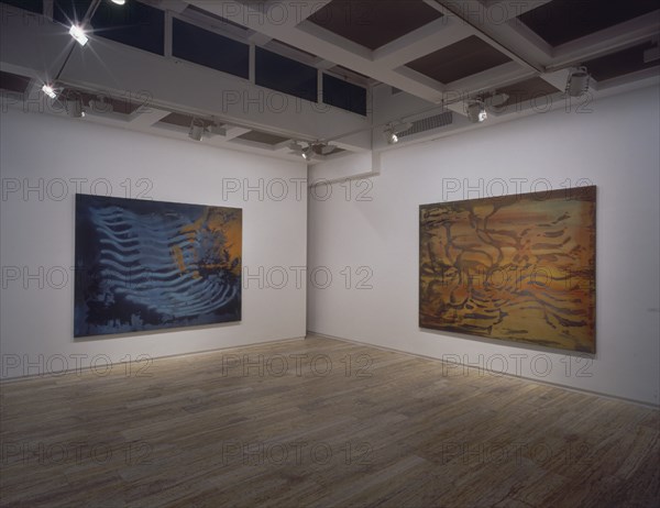 BROTO JOSE MANUEL 1949/
INTERIOR DE LA SALA DE EXPOSICIONES - LA FOLIA II Y LA FOLIA V -