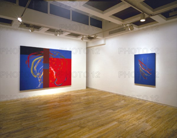 BROTO JOSE MANUEL 1949/
INTERIOR DE LA SALA DE EXPOSICIONES - 2001
MADRID, GALERIA SOLEDAD