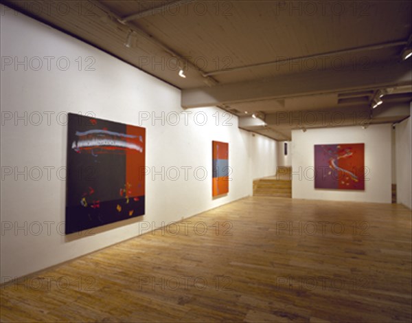 BROTO JOSE MANUEL 1949/
INTERIOR DE LA SALA DE EXPOSICIONES - 2001
MADRID, GALERIA SOLEDAD