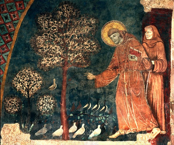CIMABUE 1240/1302
SAN FRANCISCO PREDICANDO A LOS PAJAROS - 1277/1281 - FRESCO - GOTICO ITALIANO -