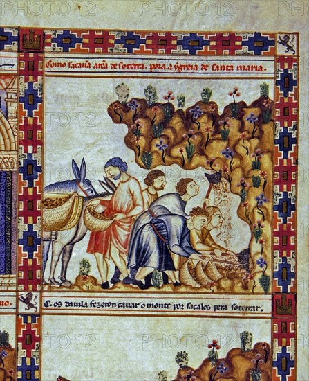 ALFONSO X EL SABIO 1221/84
D-MS.B.R.20-CANTIGA STA MARIA-Nº252-F82-B-ARENERO CARGA ARENA EN BURRO