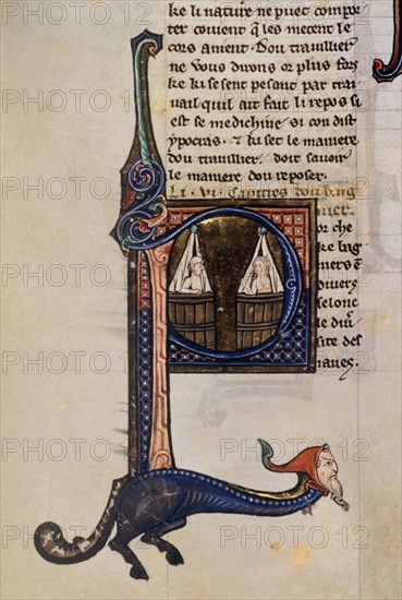 SLOANE MS 2435 F8 - BAÑO- MANUSCRITO FLAMENCO DE FINALES DEL S XIII
LONDRES, BRITISH MUSEUM