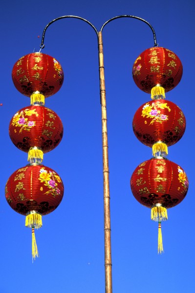 Chinese new year lanterns