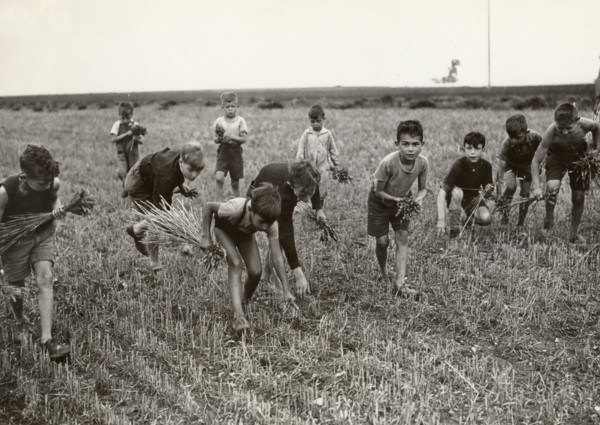 Petits glaneurs