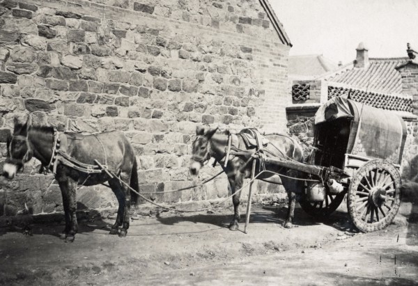 China, horses harnessed, in Peking