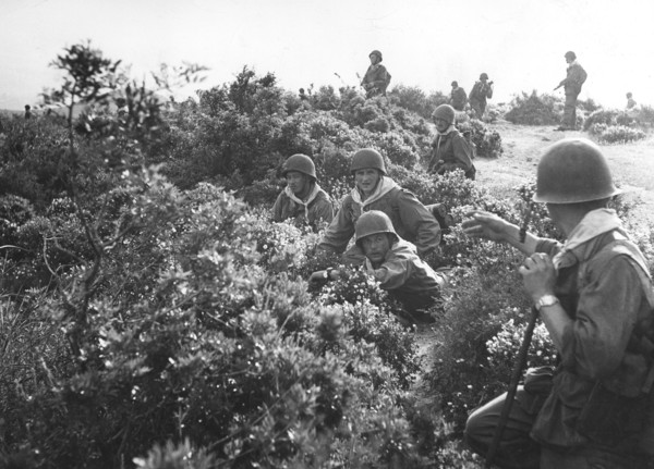 Military operations during the war in Algeria (1956)