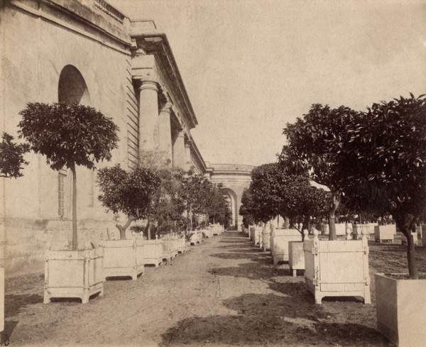 Atget, The Versailles Orangerie