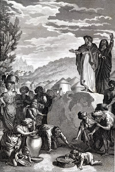 The manna in the desert