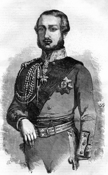 Portrait of Albert, Prince Consort