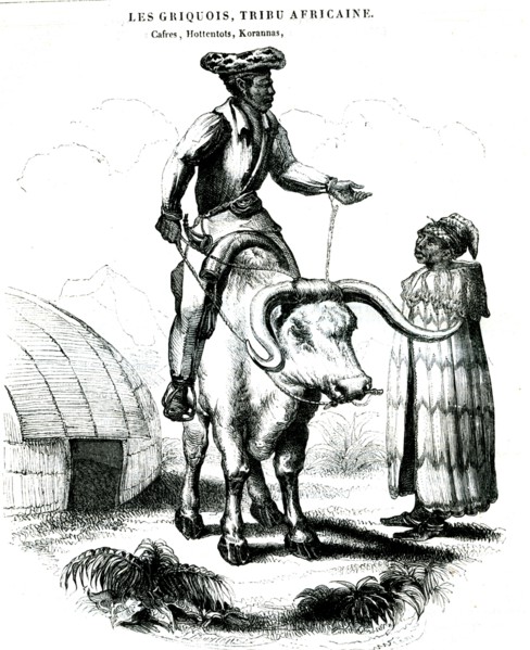 Hottentots d'Afrique