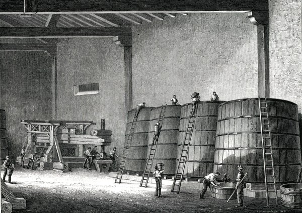 CLOS VOUGEOT, cellier et pressoir bourguignon en 1876