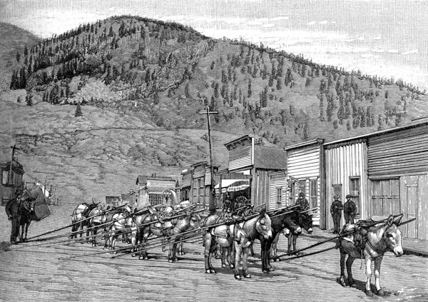 Débuts du chemin de fer aux USA
