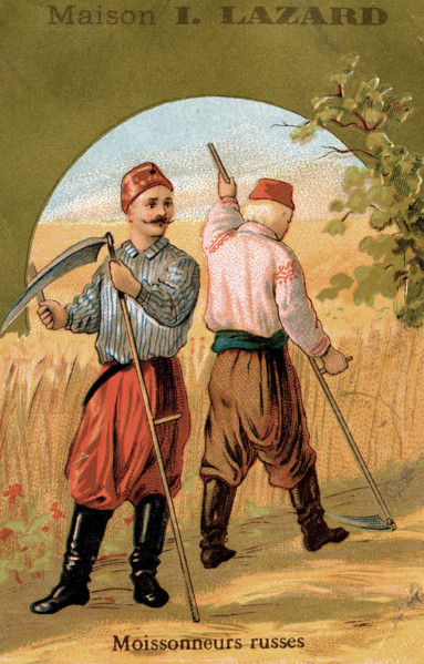 Moissonneurs russes