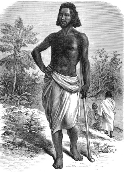 Type d'ABYSSINIE