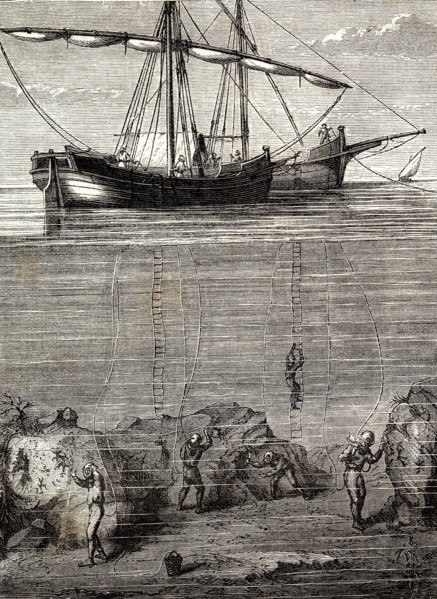 Récolte de corail au 19e siècle