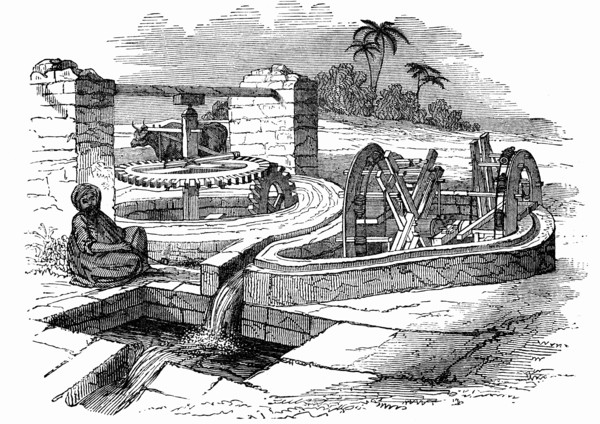 Irrigation system in Egypt in 19th century