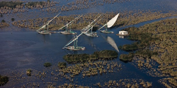 Delta du Nil