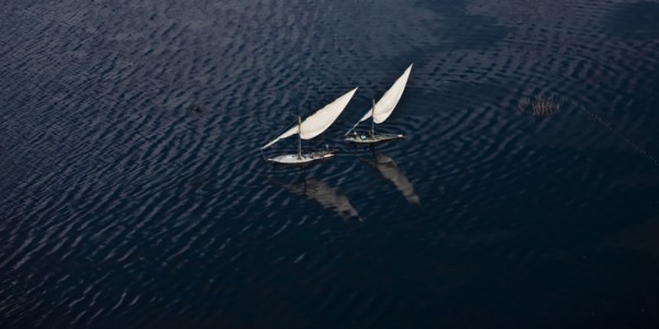 Felouques sur le delta du Nil