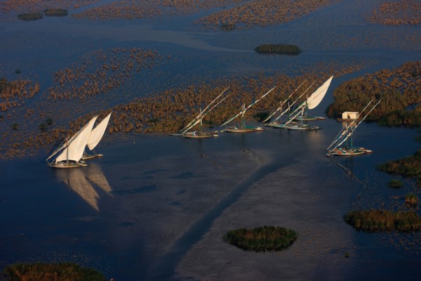 Felouques sur le delta du Nil