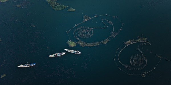 Delta du Nil