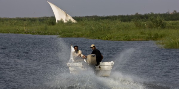 Pêcheurs du delta du Nil