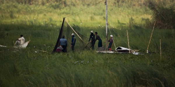 Pêcheurs du delta du Nil