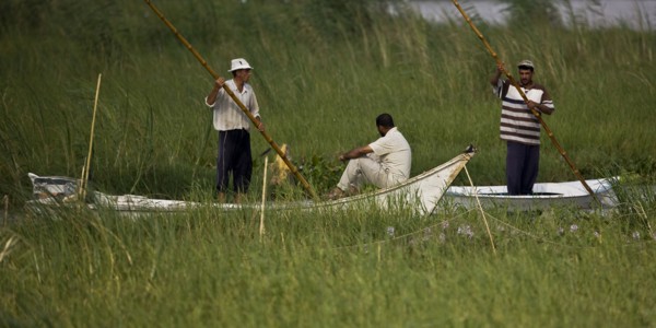 Pêcheurs du delta du Nil
