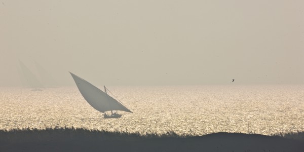 Felouques sur le delta du Nil