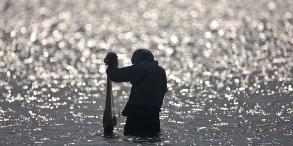 Pêcheurs du delta du Nil