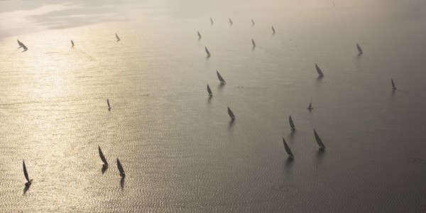 Felouques sur le delta du Nil