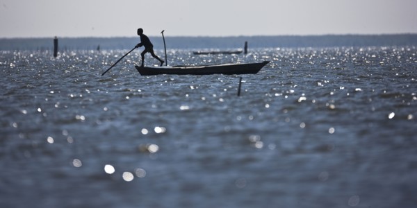 Pêcheurs du delta du Nil