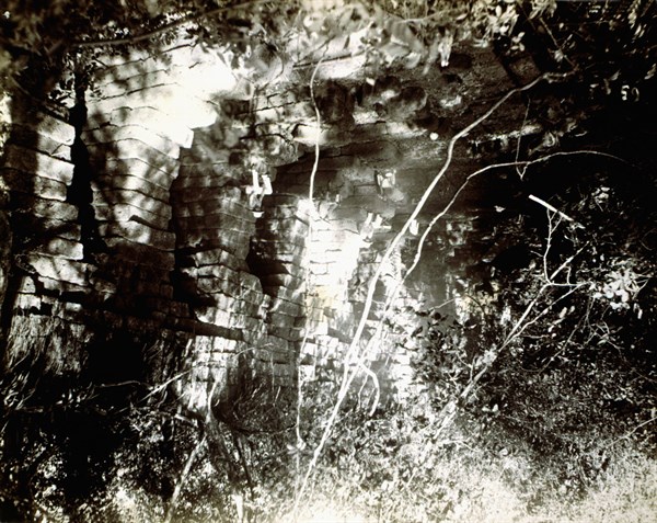Angkor, 1890