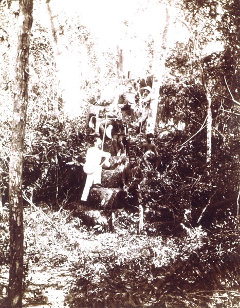 Angkor, 1890