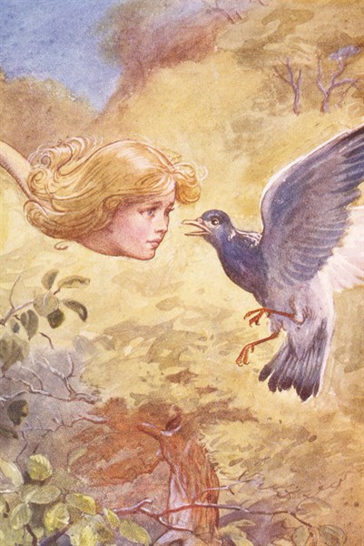 Alice au pays des merveilles, illustration de A.E. Jackson