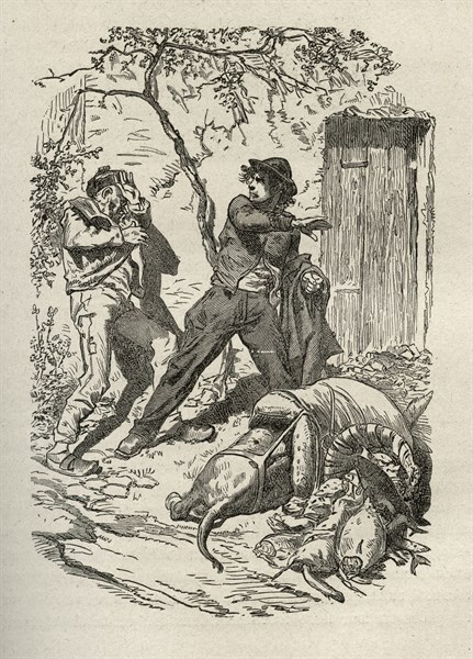 Illustration of "Toilers of the Sea", by Victor Hugo