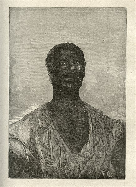 Illustration of "Toilers of the Sea", by Victor Hugo
