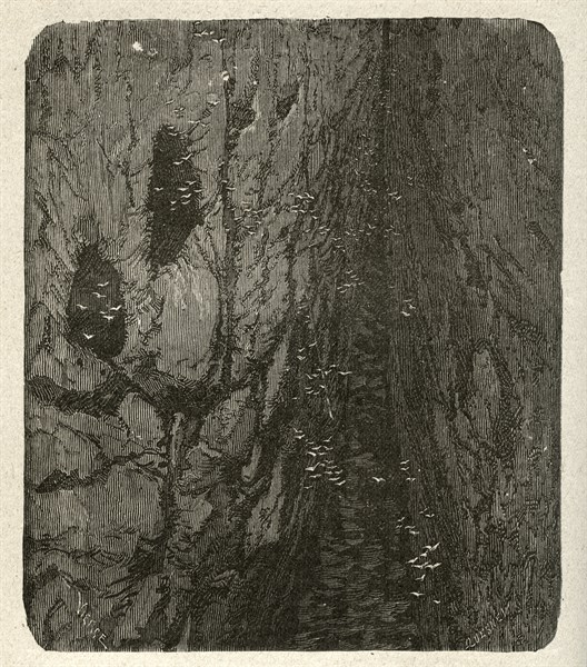 Illustration de "Les Travailleurs de la Mer", de Victor Hugo