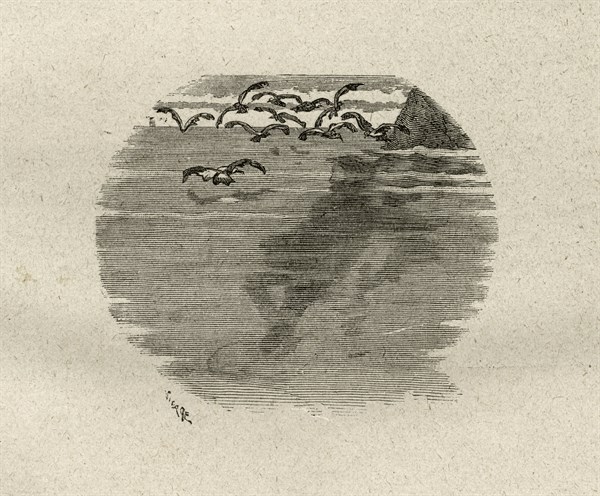 Illustration of "Toilers of the Sea", by Victor Hugo
