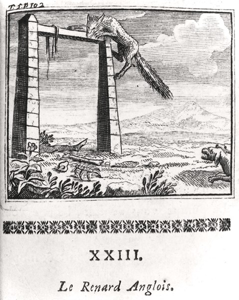 The English Fox