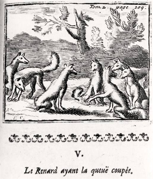 The Fox who had lost his Tail