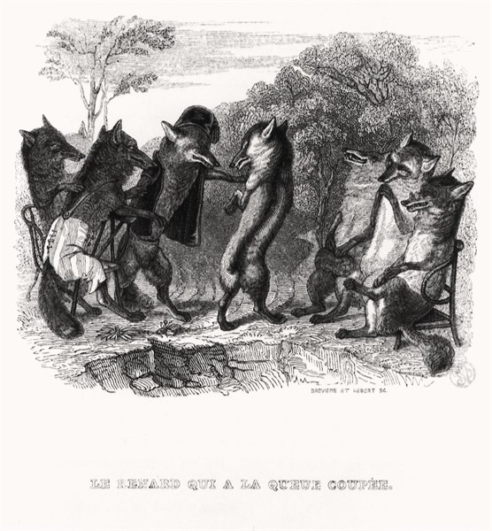 The Fox who had lost his tail
