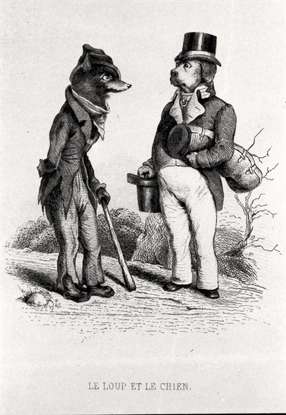 The Wolf and the Dog