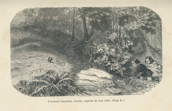 Sophie's Misfortunes, by Countess of Ségur
