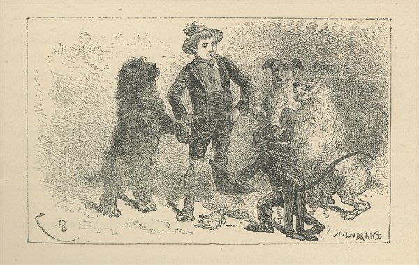 Nobody's Boy, by Hector Malot