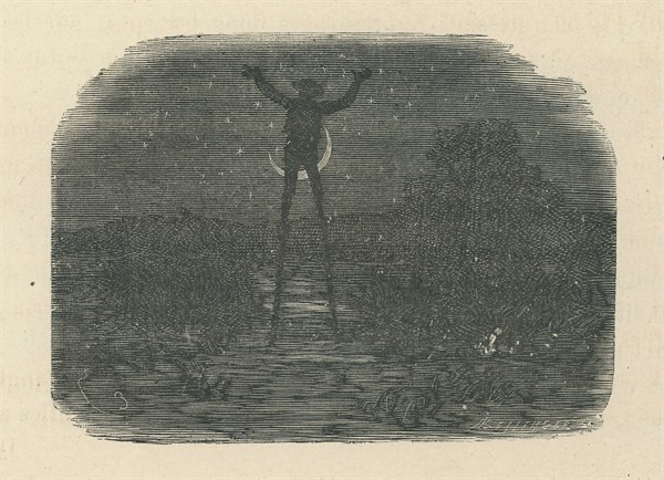 Nobody's Boy, by Hector Malot
