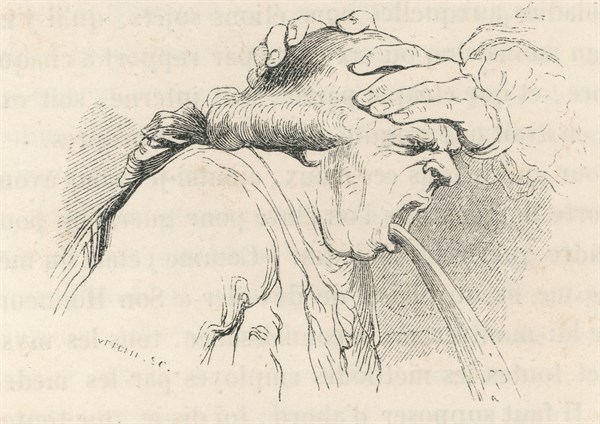 Jonathan Swift, "Voyages de Gulliver dans des contrées lointaines", tome 2