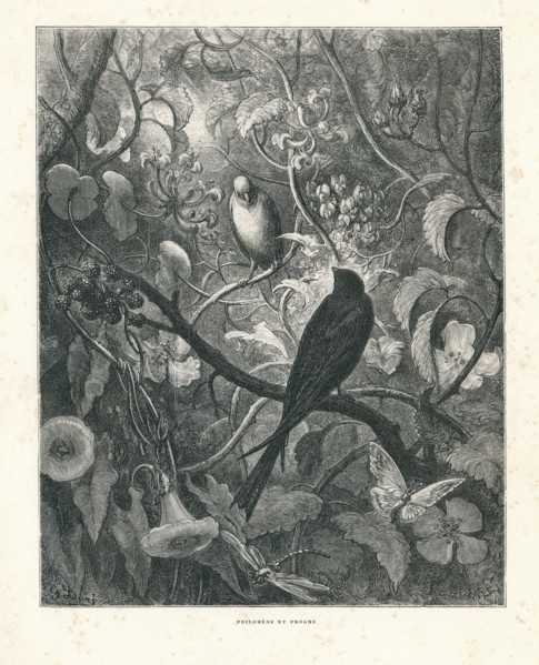 Fable "Philomèle et Phrogné"