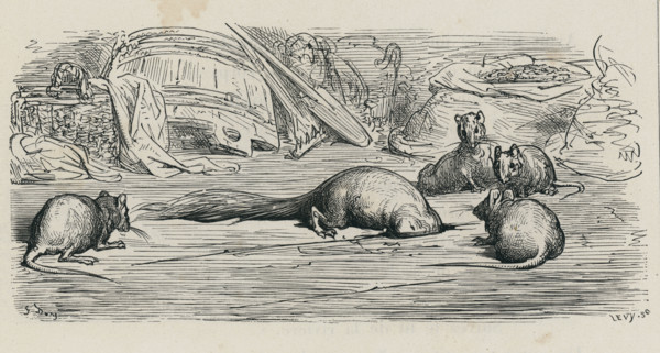 Fable "La Belette entrée dans un grenier"